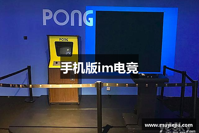 手机版im电竞